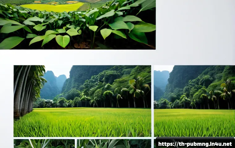 วางแผนอ่านสอบงานบริหารภาครัฐ: กลยุทธ์เก็บคะแนน พร้อมเกณฑ์เลือกคอร์สและข้อสอบจำลอง 4 공공관리사 필기시험 합격을 위한 학습 전략 관련 이미지 2